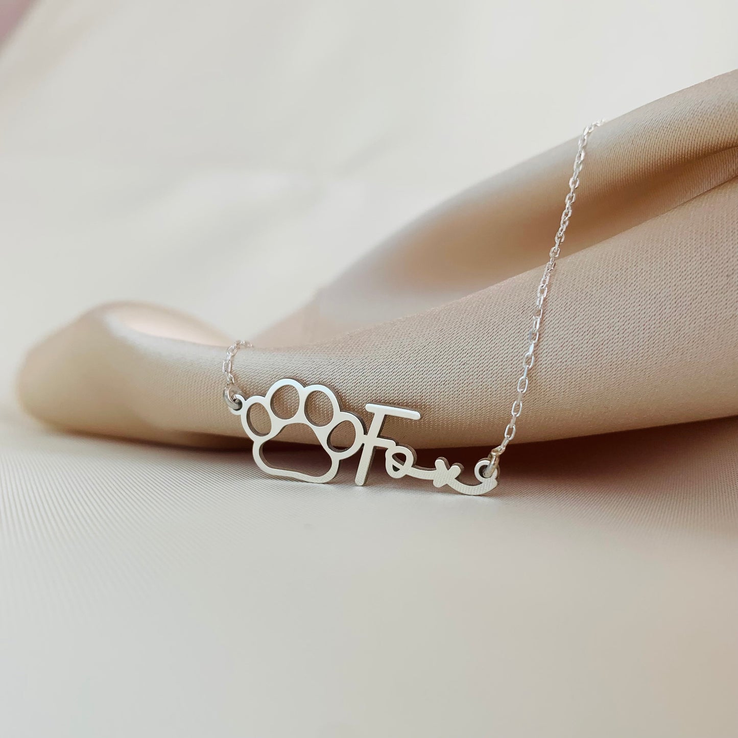 Custom Paw Necklace with Name, Paw name necklace, Animal Pet Memorial Gift, Personalized Pet Necklace for Cat and Dog Pet Memorial Gift for