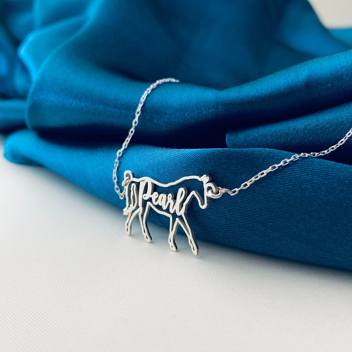 Horse Necklace, Horse Necklace for Woman, Horse Name Necklace, Custom Horse Necklace, Horse Memorial Gift, Horse necklace remember