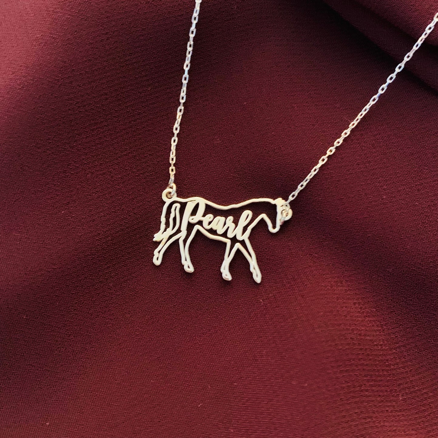 Horse Necklace, Horse Necklace for Woman, Personalized Horse Name Necklace, Custom Horse Necklace, Horse Memorial Gift, Horse Riding Gift
