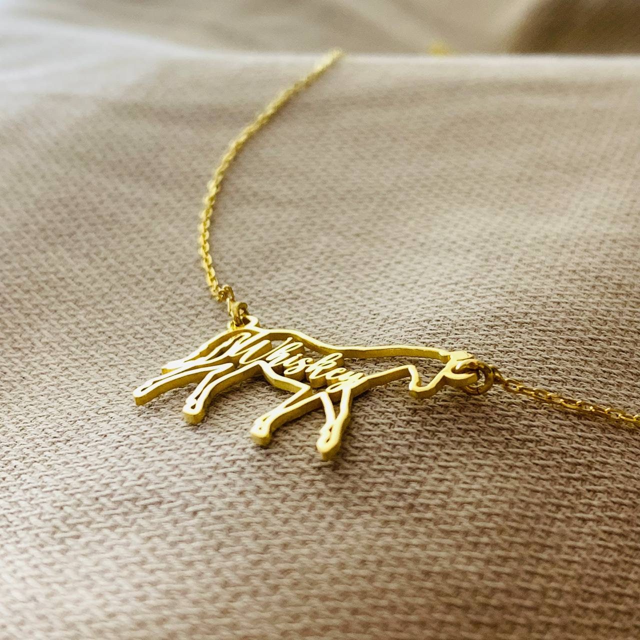 Horse Necklace, Horse Necklace for Woman, Horse Name Necklace, Custom Horse Necklace, Horse Memorial Gift, Horse necklace remember