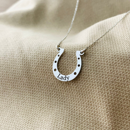 Elegant Western-Style Horseshoe Necklace for Horse Lovers, Minimalist Western Horseshoe Charm for Good Luck, Horsehoe necklace, Gift Rider